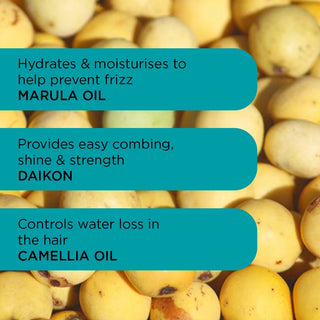 Frizz Magic Conditioner - 250ml