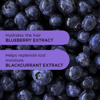 Purple Reign Shampoo - 250ml 