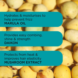 Anti-Frizz-Starterbündel